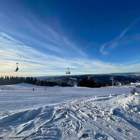 Apartman Cassa Alexandre, And Comfy With A Great View Lillehammer